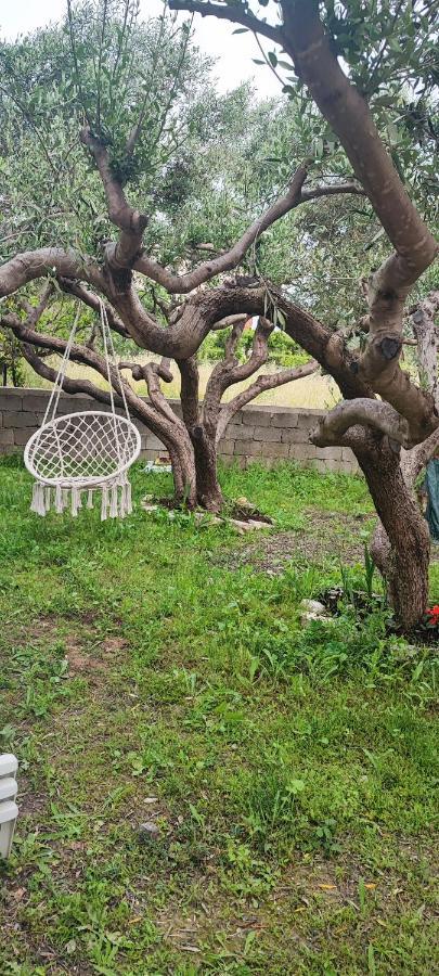 فيلا Apartman Duce Milka المظهر الخارجي الصورة