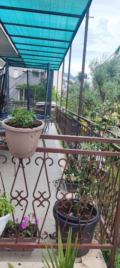 فيلا Apartman Duce Milka المظهر الخارجي الصورة